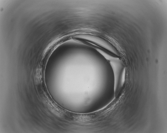X0000087401164200704201300