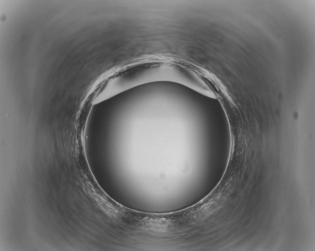 X0000087401168200704201300