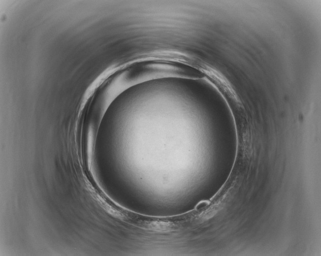 X0000087401180200704201300