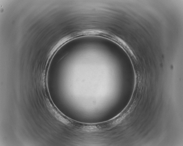 X0000087401186200704201300