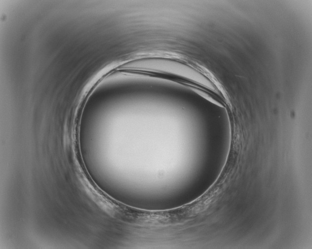 X0000087401187200704201300