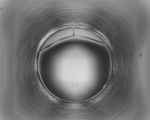 X0000087401188200704201300