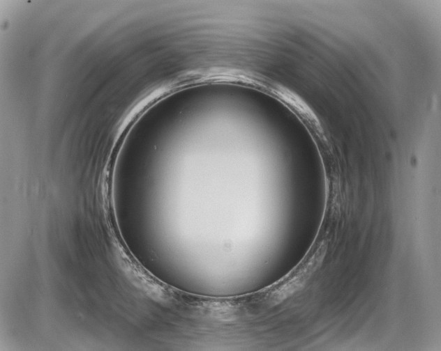 X0000087401190200704201300