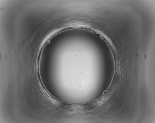 X0000087401191200704201300