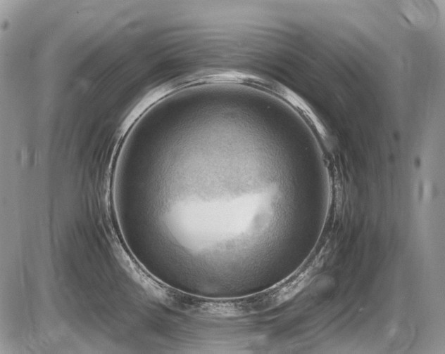 X0000087401194200704201259