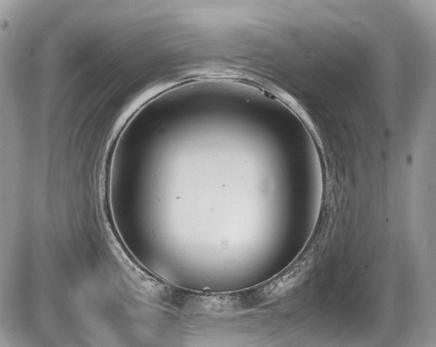 X0000087401195200704201259