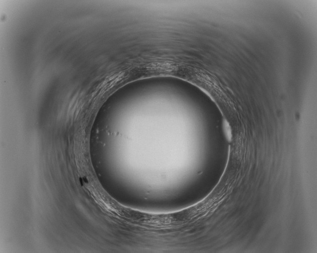 X0000087401201200704201259