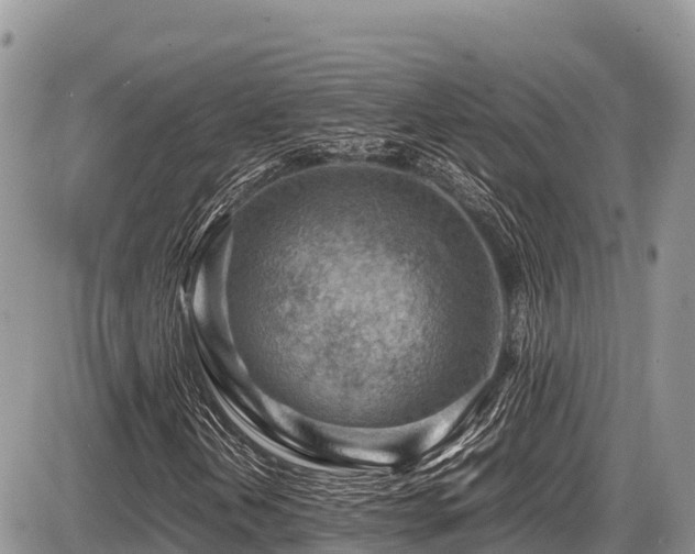 X0000087401202200704201259