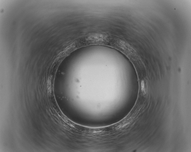 X0000087401203200704201259