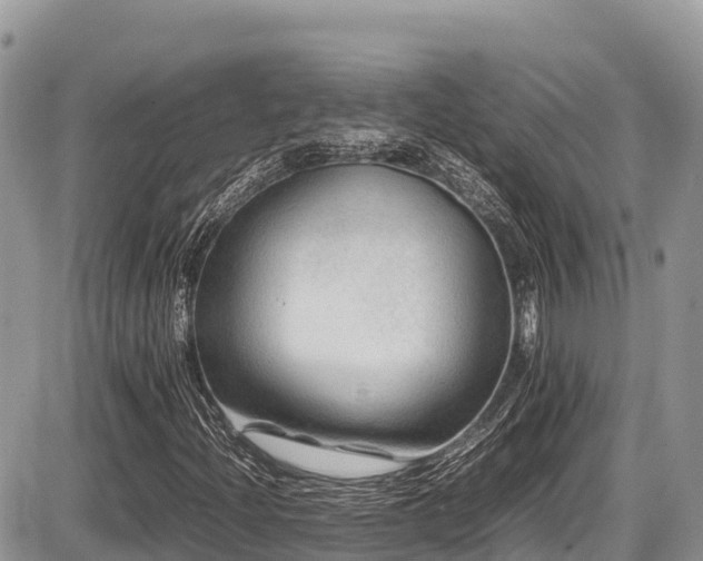 X0000087401204200704201259
