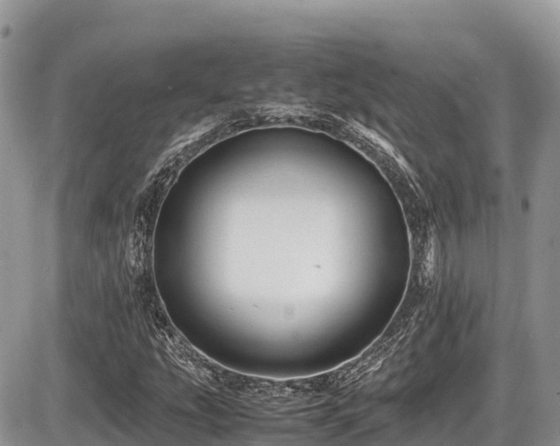X0000087401207200704201259