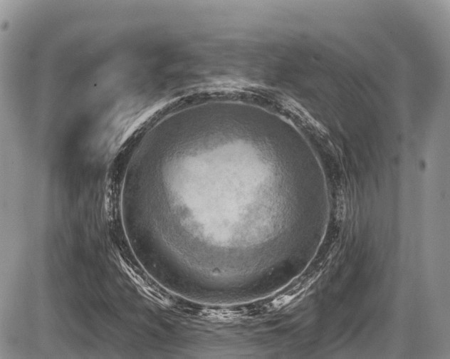 X0000087401208200704201259