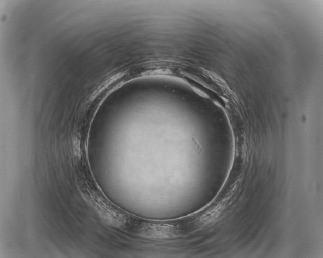 X0000087401209200704201259