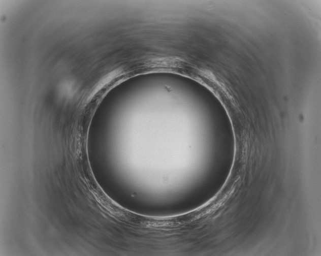 X0000087401211200704201259