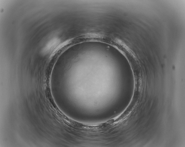 X0000087401213200704201259