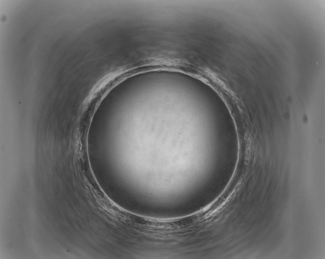 X0000087401215200704201259
