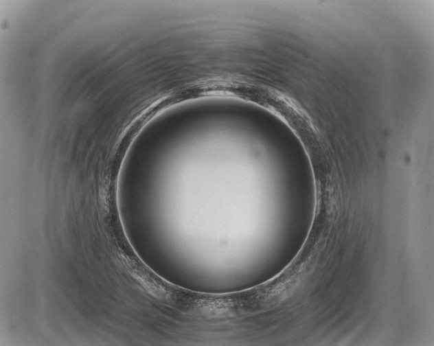 X0000087401217200704201259