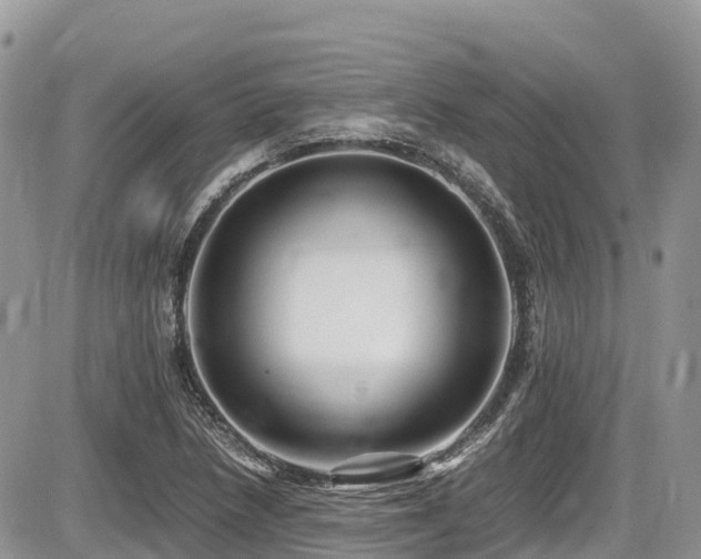 X0000087401218200704201259