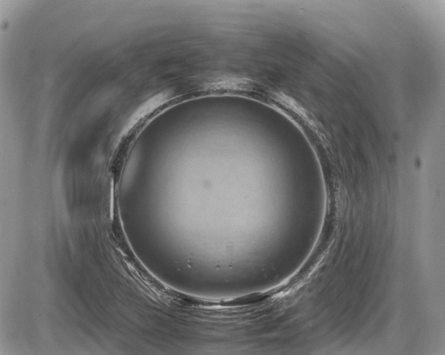 X0000087401219200704201259