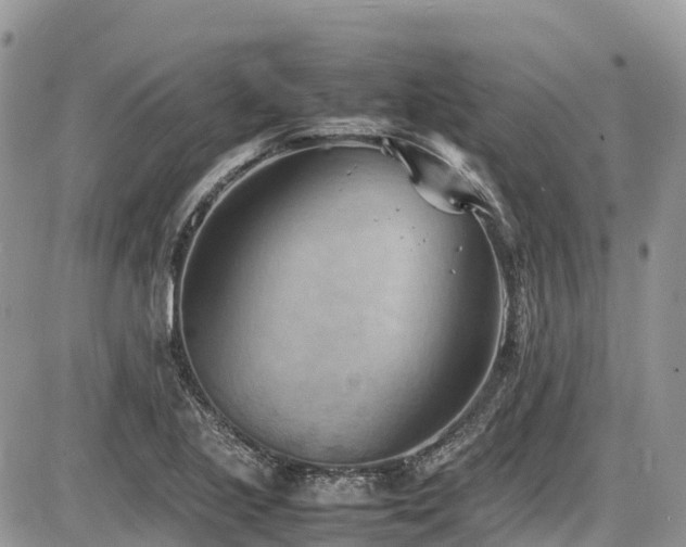 X0000087401221200704201259