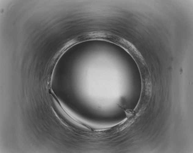 X0000087401225200704201259