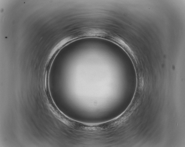 X0000087401227200704201259