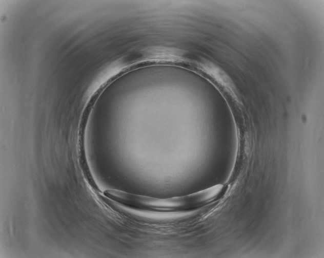 X0000087401229200704201259