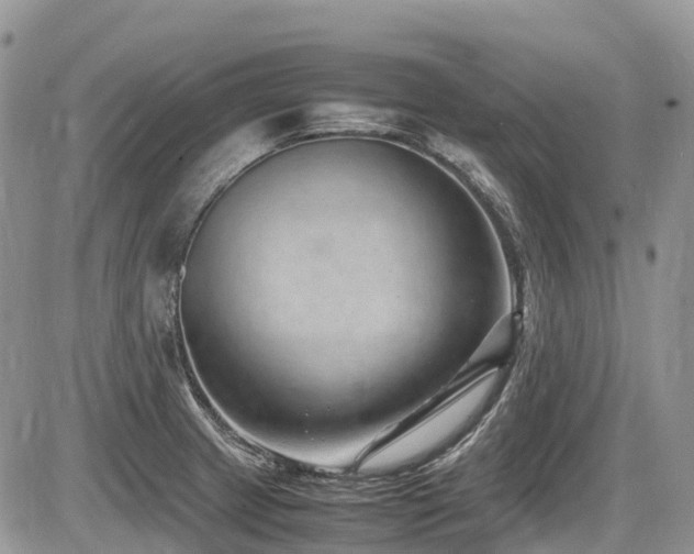X0000087401233200704201259