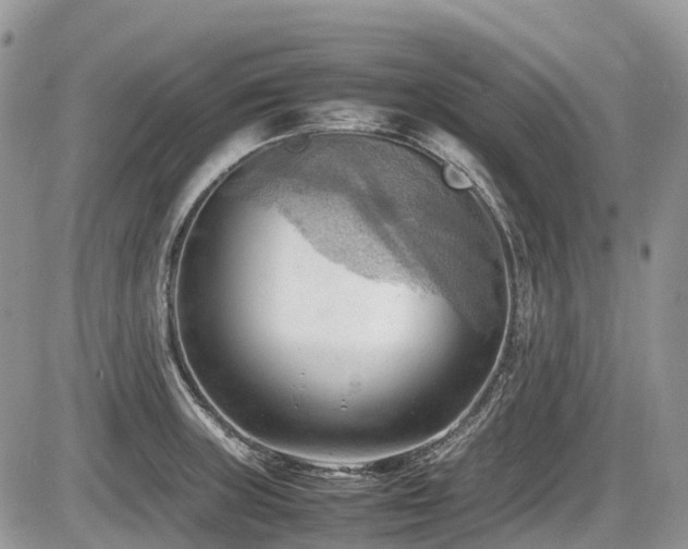 X0000087401235200704201259