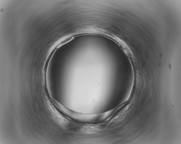 X0000087401238200704201259