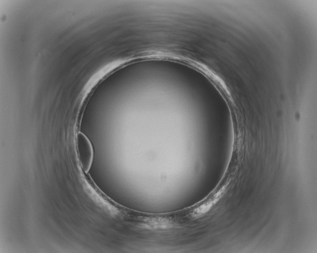 X0000087401239200704201259