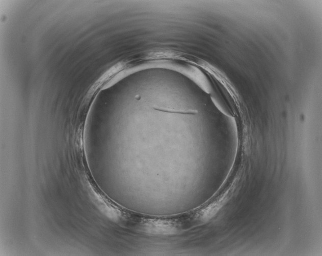 X0000087401241200704201259