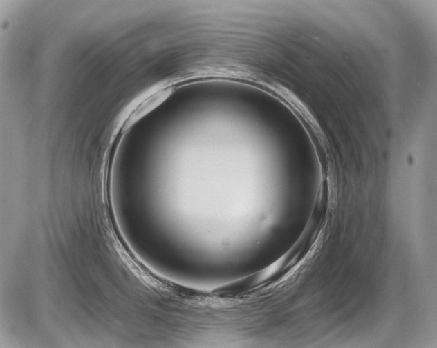 X0000087401246200704201259