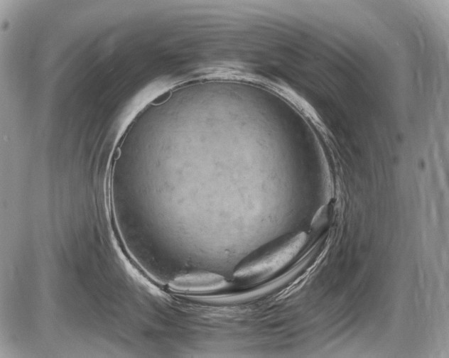 X0000087401247200704201259