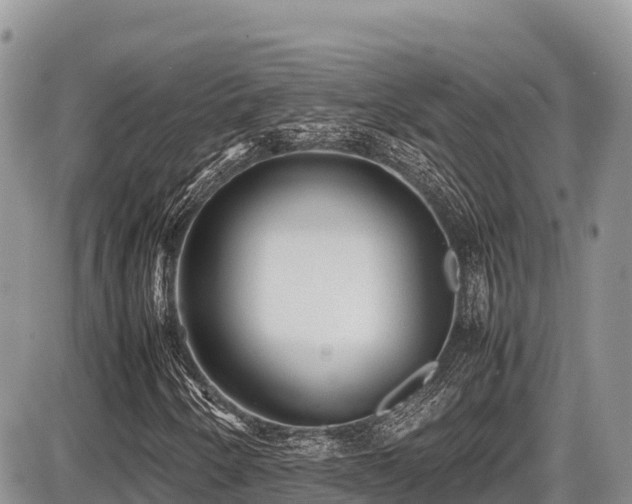 X0000087401250200704201259