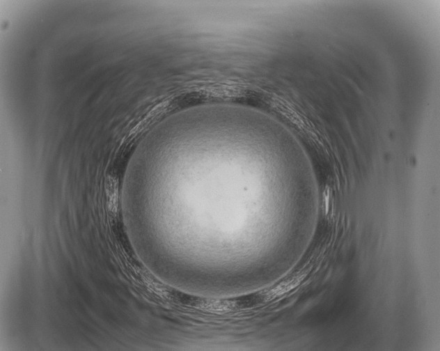 X0000087401251200704201259