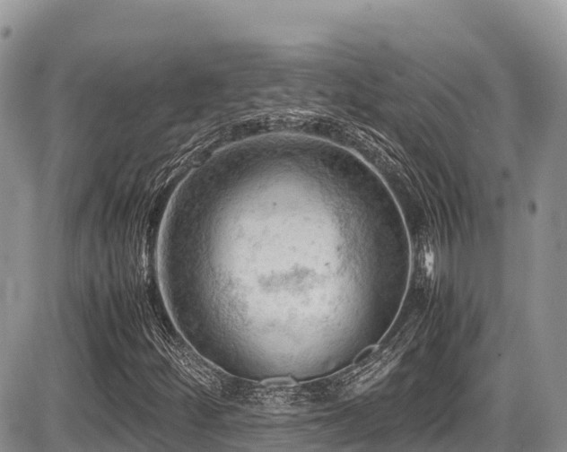 X0000087401252200704201259