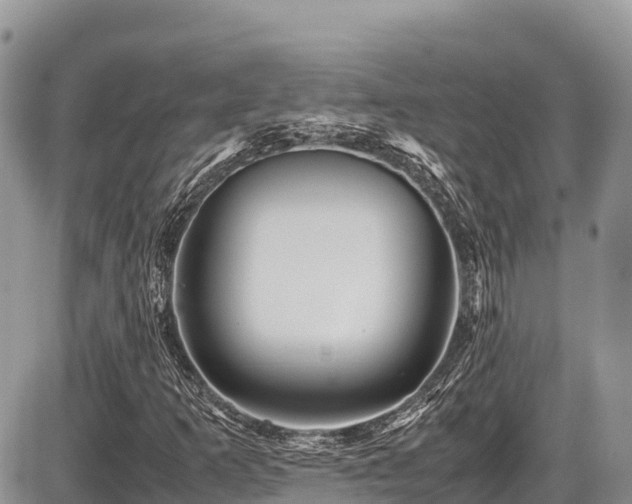 X0000087401253200704201259