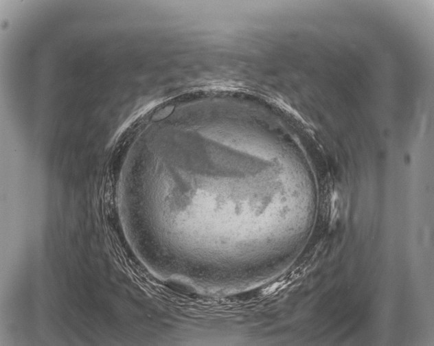 X0000087401255200704201258