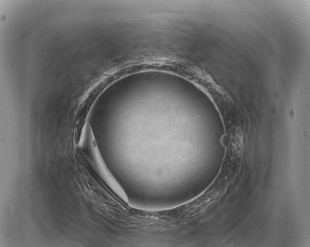 X0000087401256200704201258