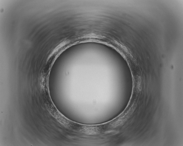 X0000087401258200704201258