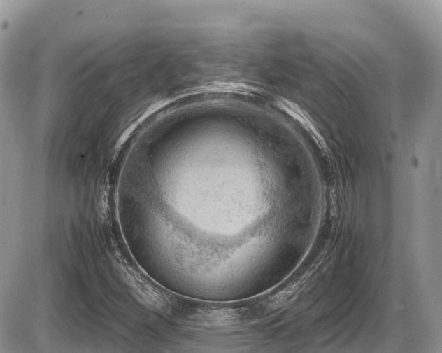 X0000087401260200704201258
