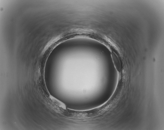 X0000087401261200704201258