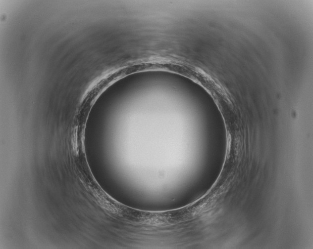 X0000087401262200704201258