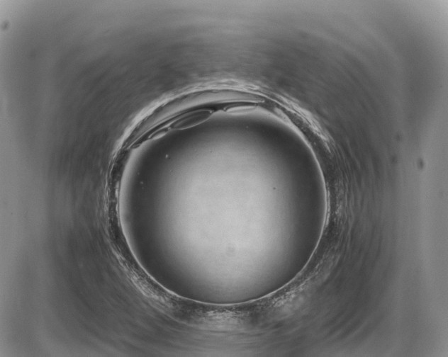 X0000087401264200704201258