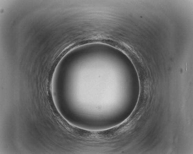 X0000087401265200704201258