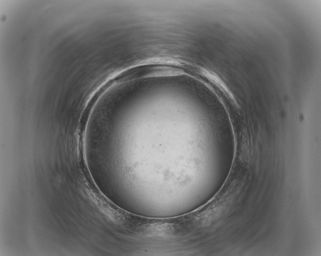 X0000087401268200704201258