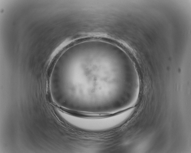 X0000087401271200704201258