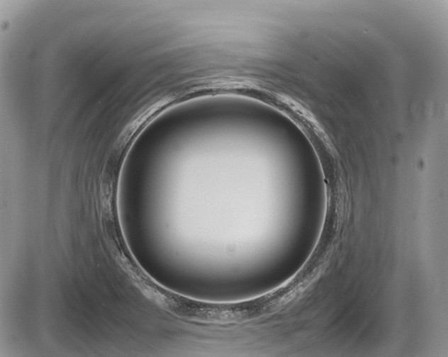 X0000087401273200704201258