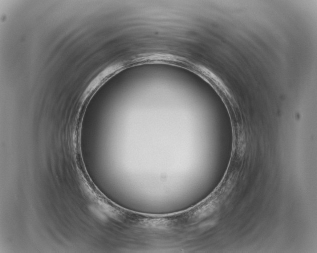 X0000087401282200704201258